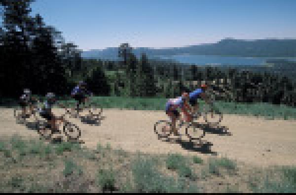 Bicycling nearby