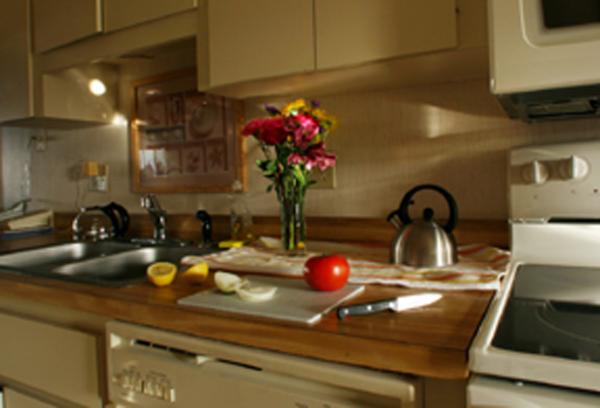 THE EAT-IN KITCHEN OVERLOOKS THE POOL.