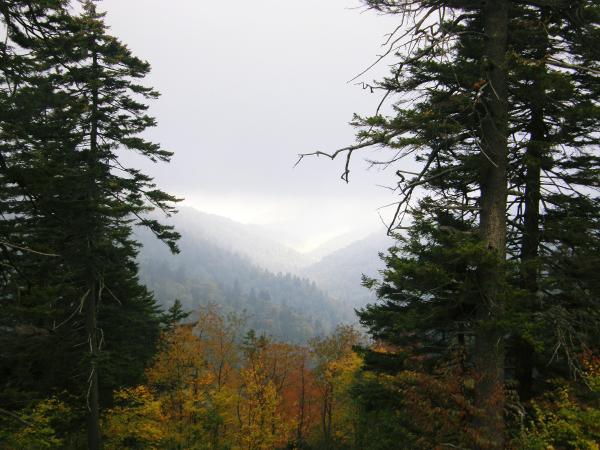 Nearby Mountain View