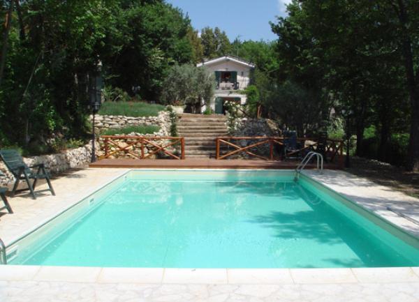 Pool in Garden