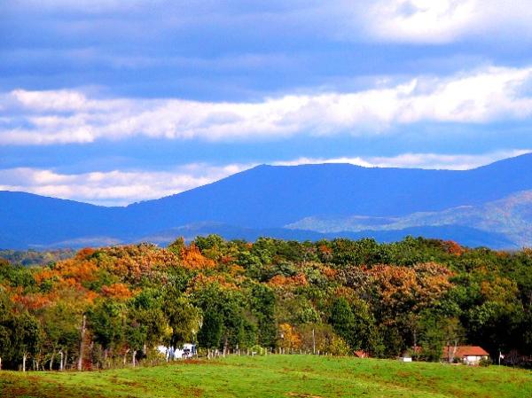 Fall Foilage, Shenandoah Valleys Blueridge Mtns.