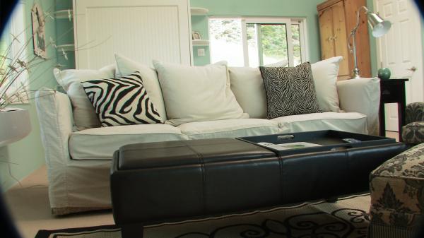 Queen sofa bed with Murphy Bed behind
