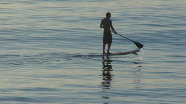 Nonstop fun in the ocean.