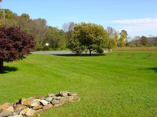 Side Yard Including Tennis & Basketball Court