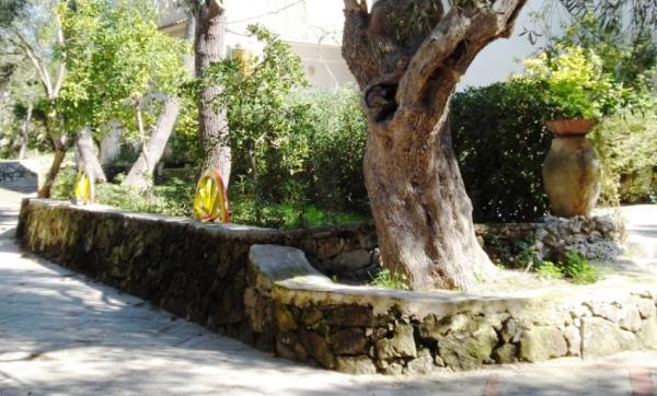 Village Garden