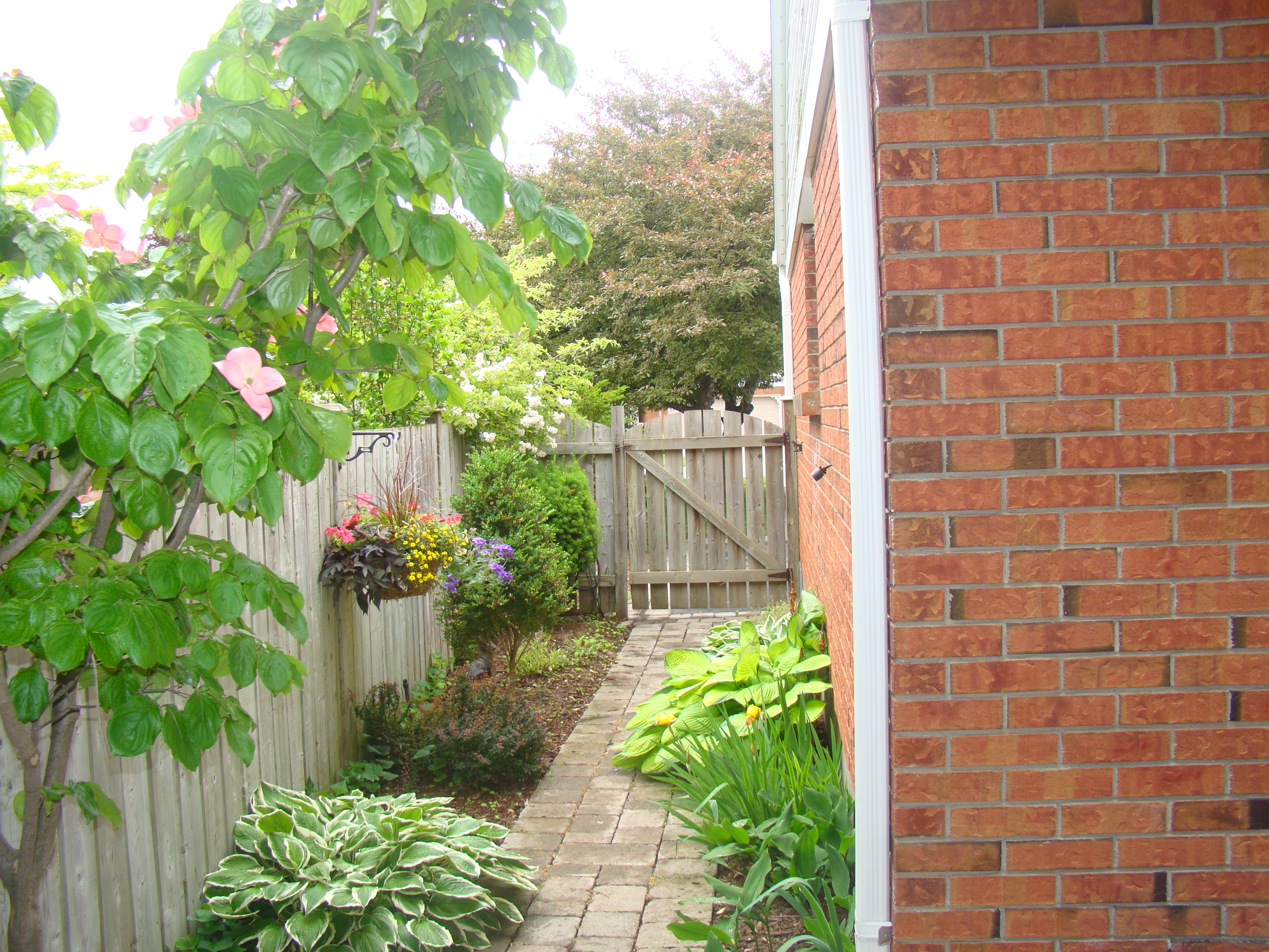Side entrance to back yard