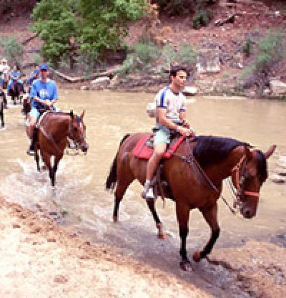 Horseback Riding