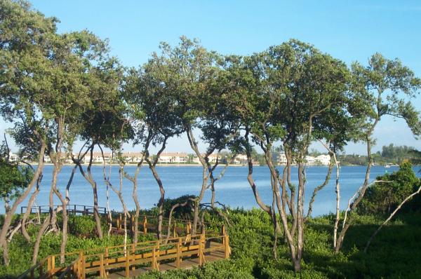 Scenic pathway to bay