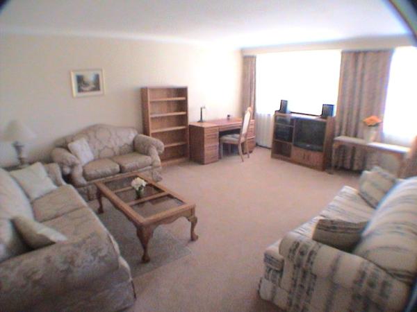 Large Livingroom with Sofa Bed