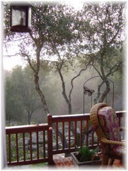 View from Patio Door 