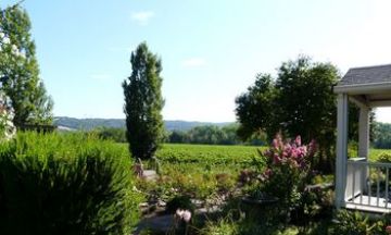 Healdsburg, California, Vacation Rental House