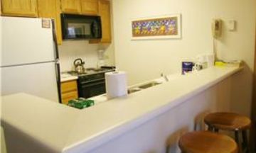 Breckenridge, Colorado, Vacation Rental Condo