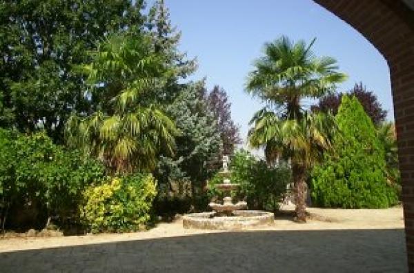 The Garden
