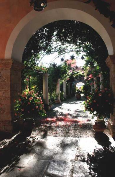 Beautiful Central Garden