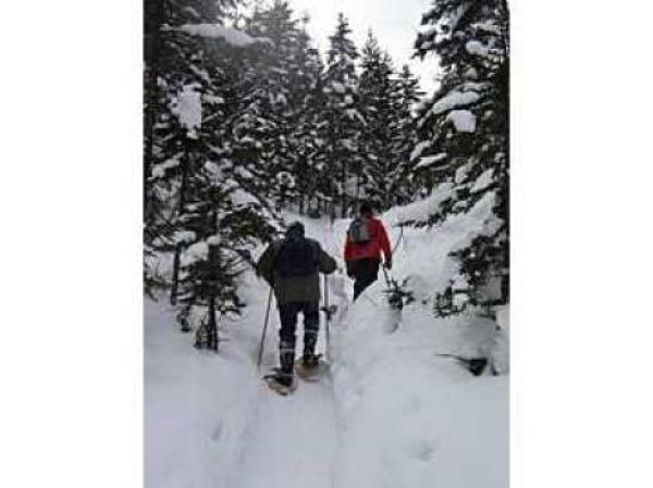 Skiing