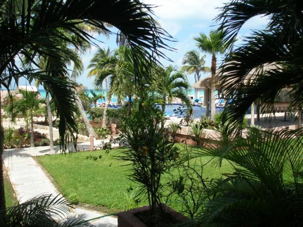 Patio view