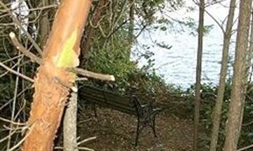 Gabriola Island, British Columbia, Vacation Rental House