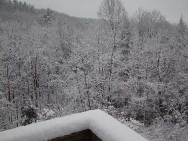 Outside View in Winter