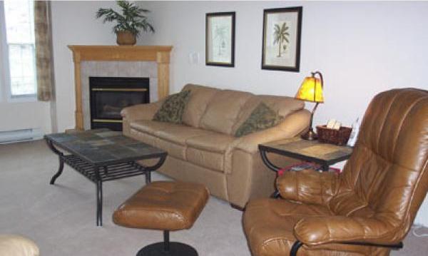 Living  Area