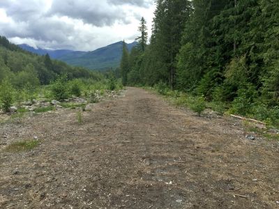 Canyon Creek Path