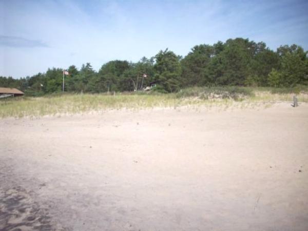View in Summer