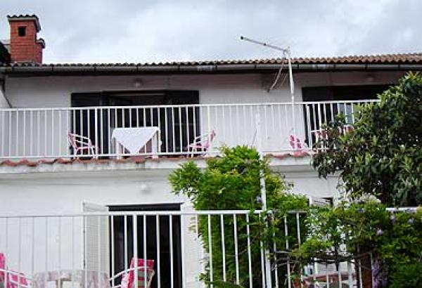Front View
