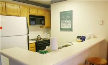 Breckenridge, Colorado, Vacation Rental Condo