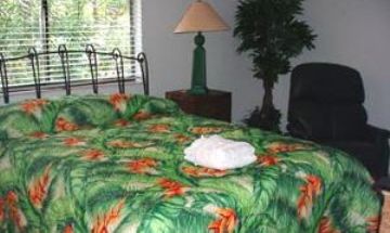 &nbsp;
