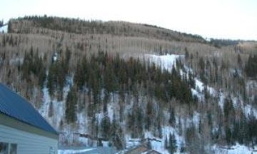 Telluride, Colorado, Vacation Rental Condo