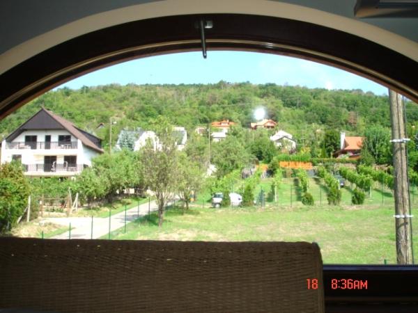 Upper bedroom view across vine yard-forest