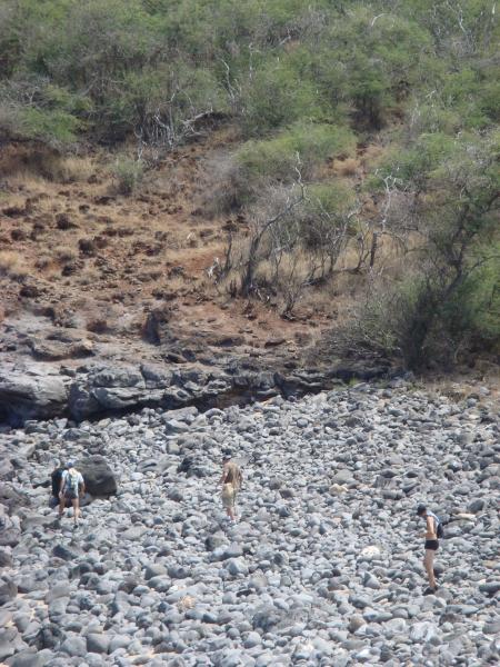 Hike the diverse coastlines