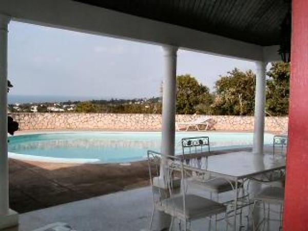 Poolside View