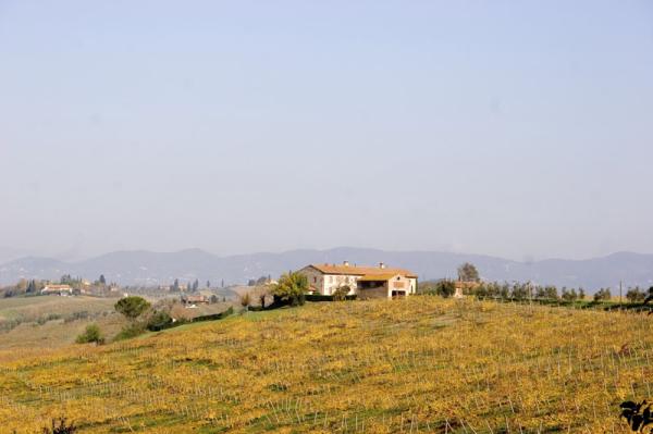 Farm View