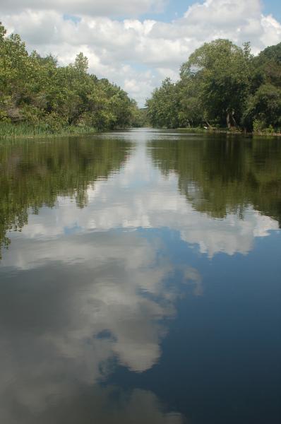 Take a refreshing dip in the water