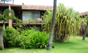 Lahaina, Hawaii, Vacation Rental Condo