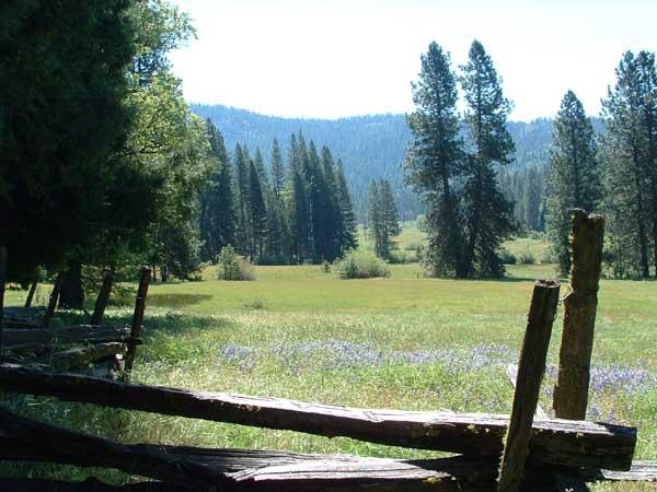 Nearby Wawona Meadow