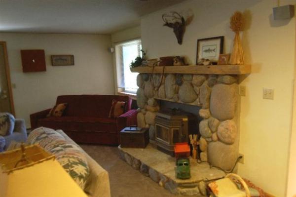 Downstairs Family Room with Pellet Stove