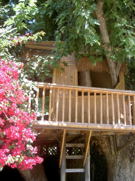 Tree House Flowers