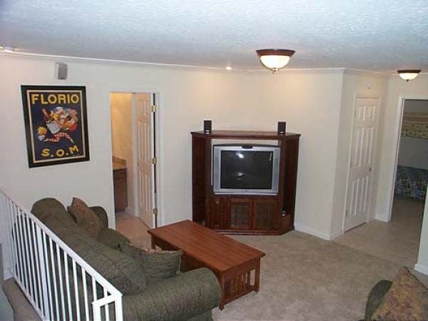 Entertainment Area