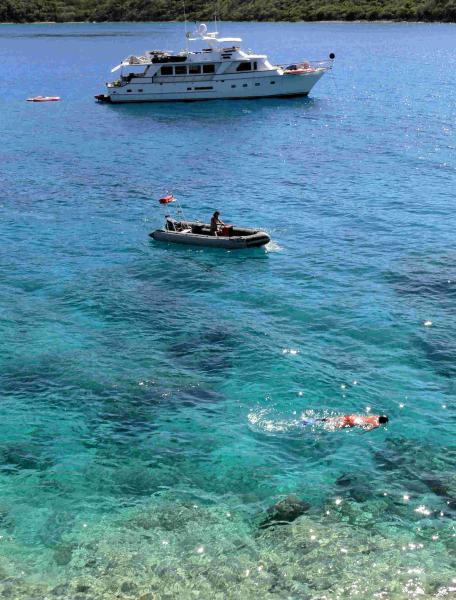 Snorkeling in the Crystal Clear Water