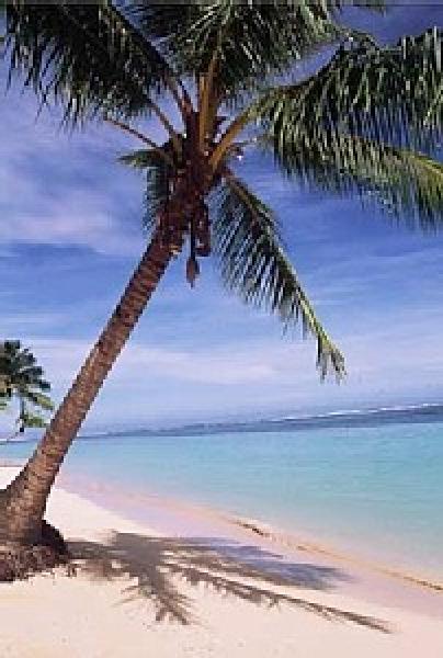 Beautiful and Pristine Beaches of Playa!