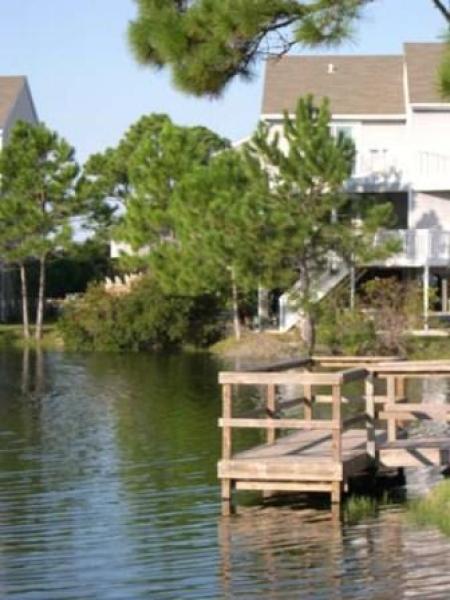 View of Dolphins Dance Across the Lake and Pier
