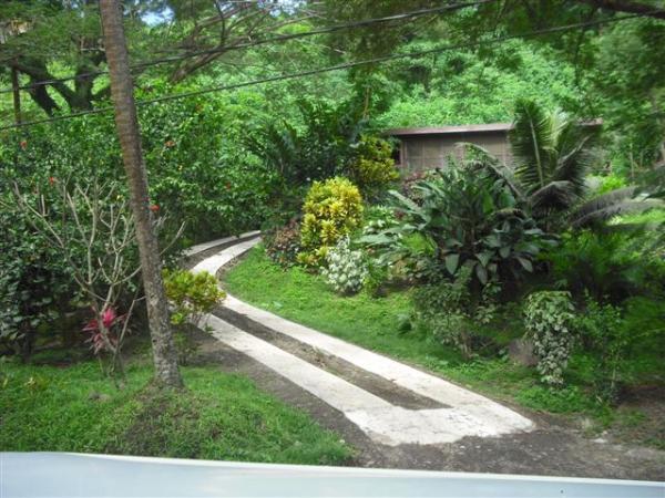 Cottage and driveway from the road