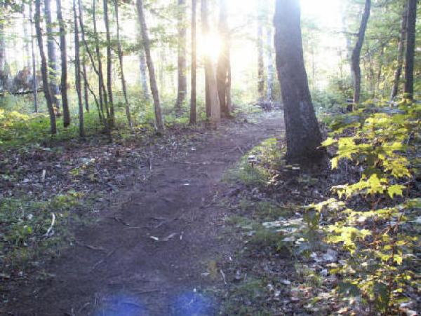 Alberton, Prince Edward Island, Vacation Rental Cottage