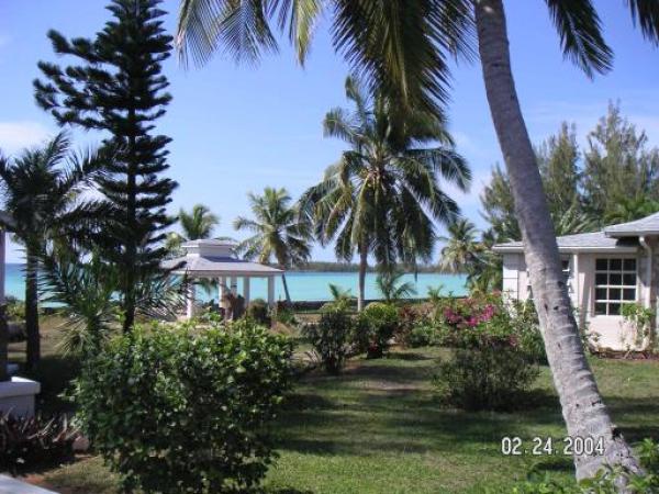 View from House