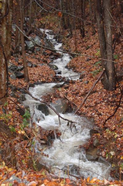 The creek