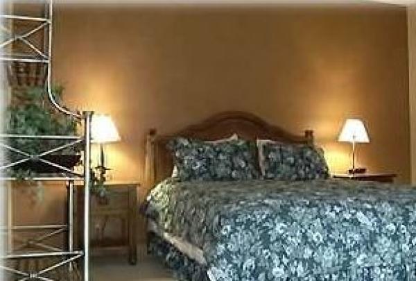 First cozy downstairs queen bedroom with bathroom
