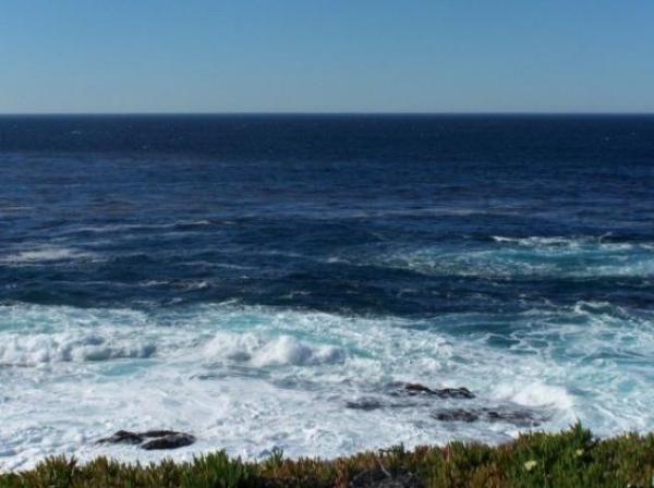 Ocean View