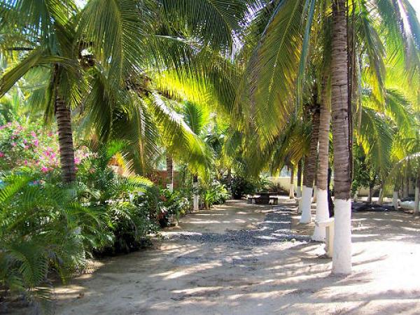 Walking Path