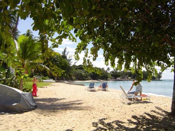 Beach View